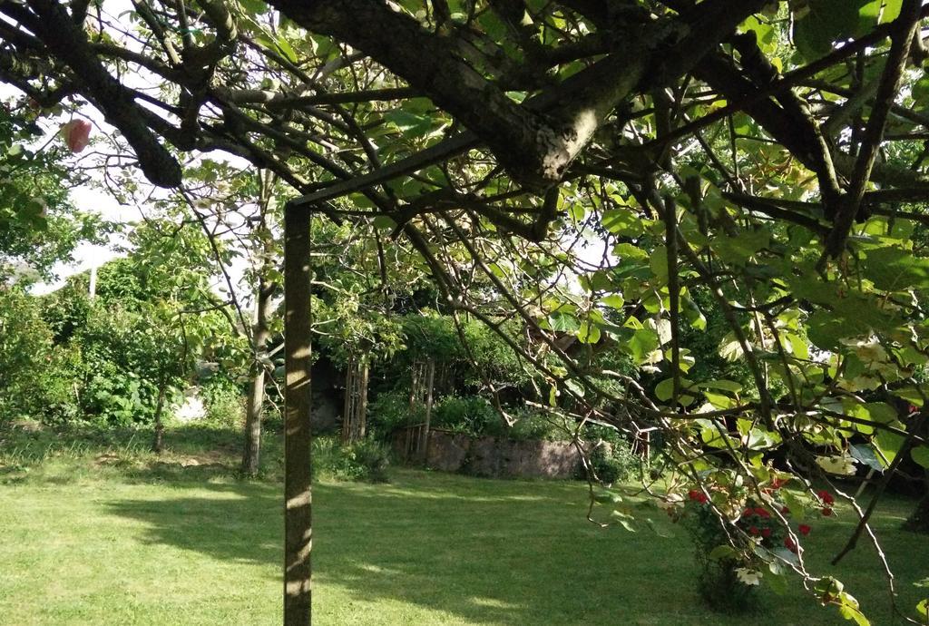 Gentil'Home - Toulouse B&B Prestige Fenouillet  Kültér fotó